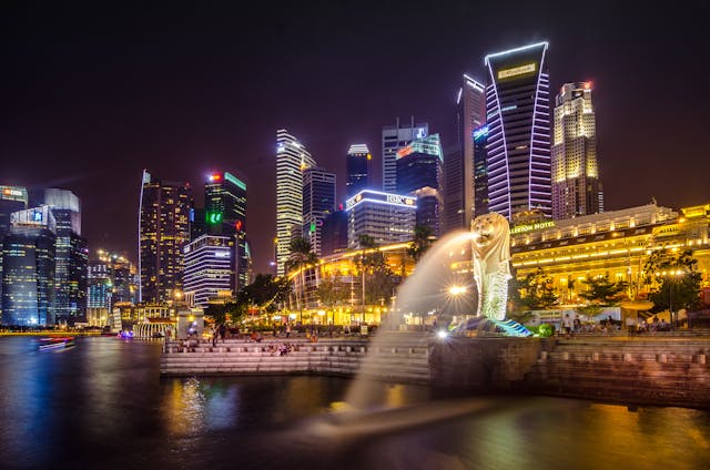 expert network singapore