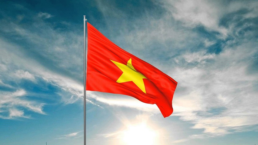 expert network vietnam